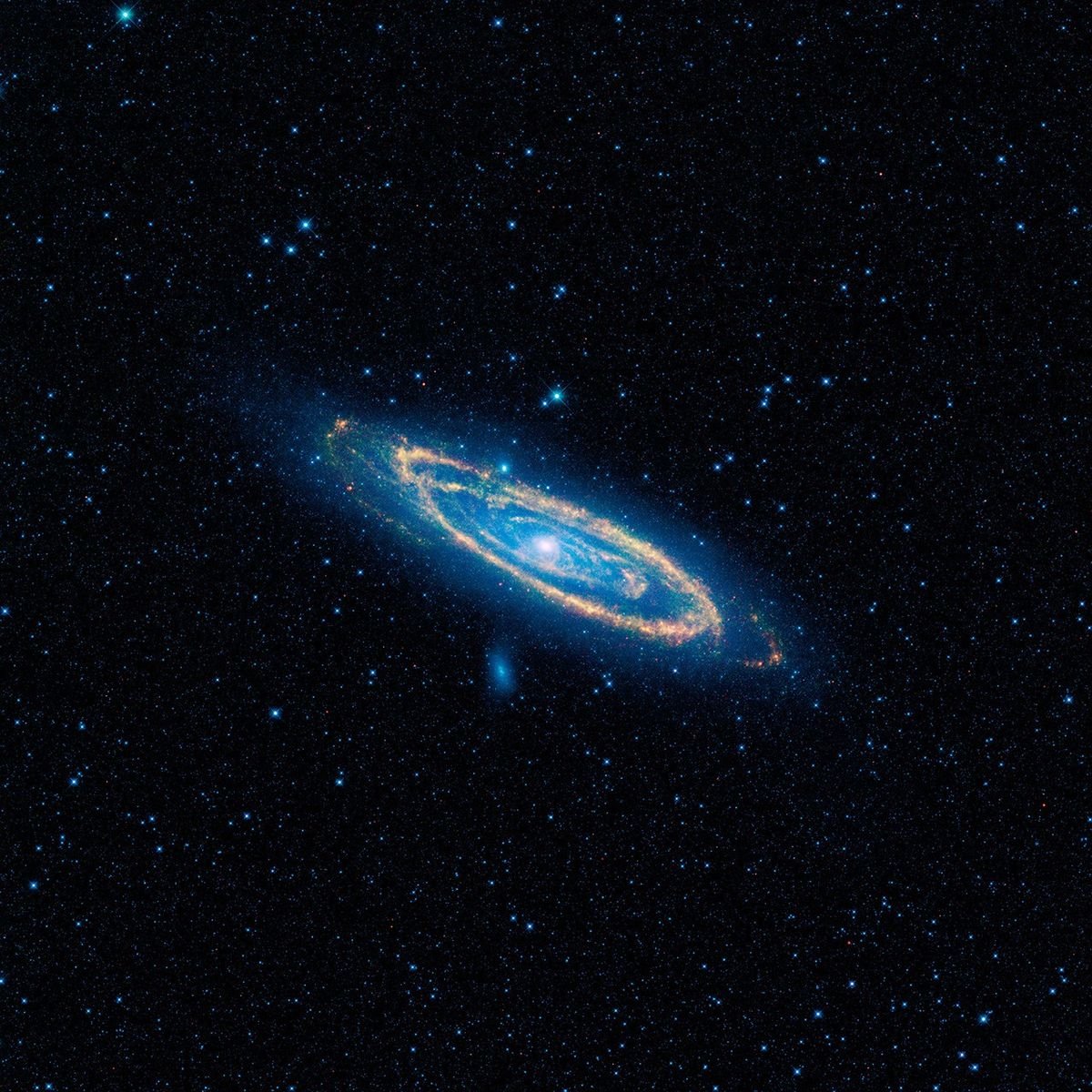 Andromeda seen by WISE in infrared. These colours do not represent its naked-eye appearance.